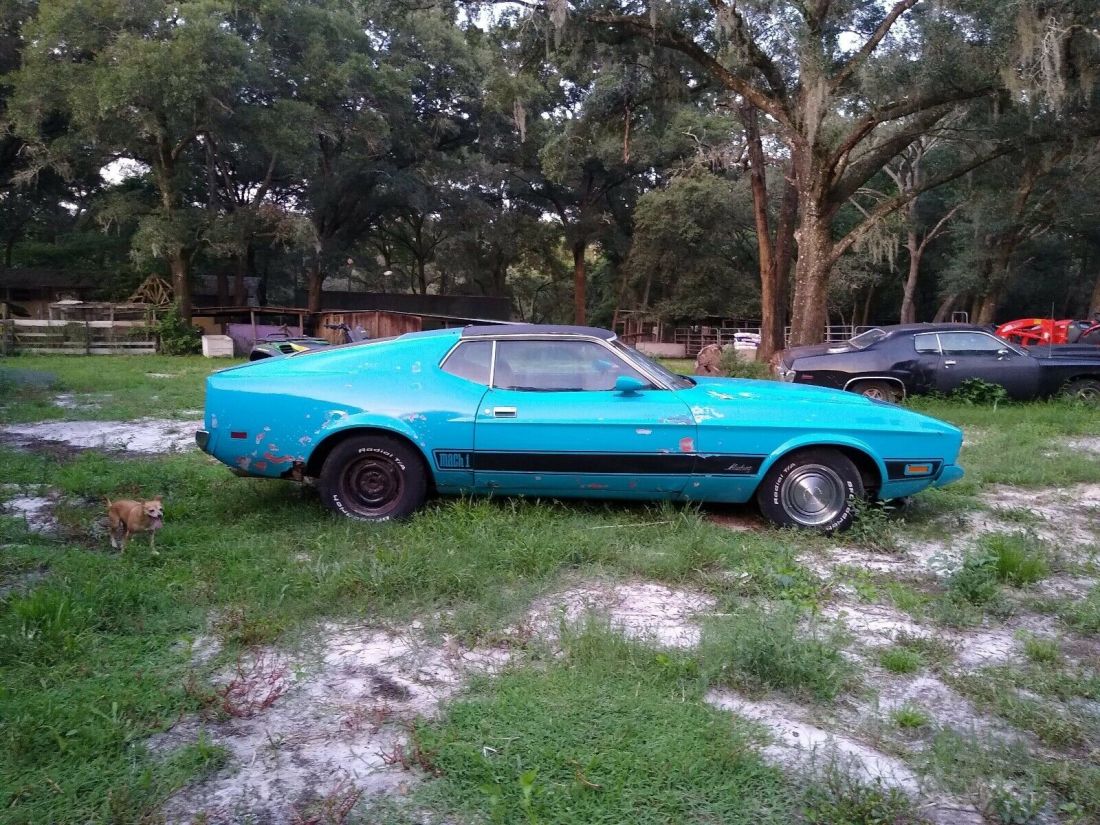 1973 Ford Mustang Mach 1 302 Blue RWD Automatic Mach 1 1973 Ford Mustang Mach 1 302 Mach 1