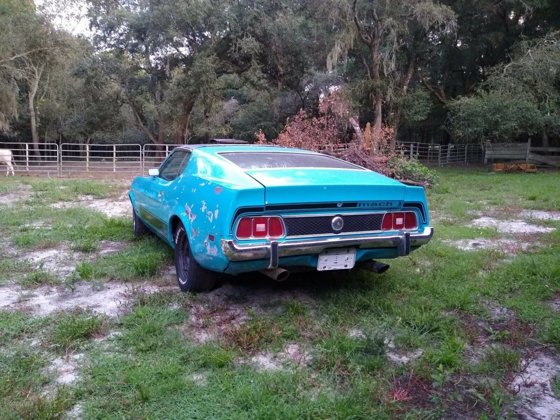 1973 Ford Mustang Mach 1 302 Mach 1 - photo 2