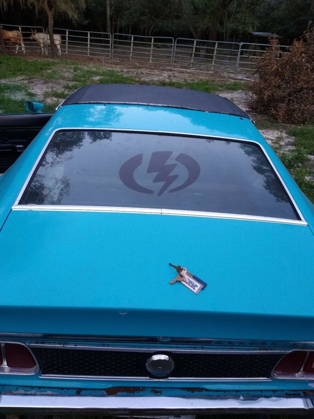 1973 Ford Mustang Mach 1 302 Mach 1 - photo 4