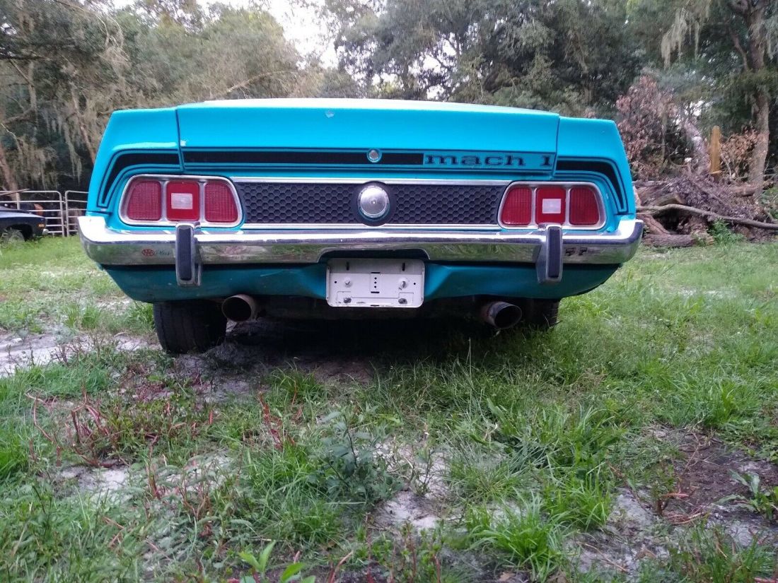 1973 Ford Mustang Mach 1 302 Mach 1 - photo 5