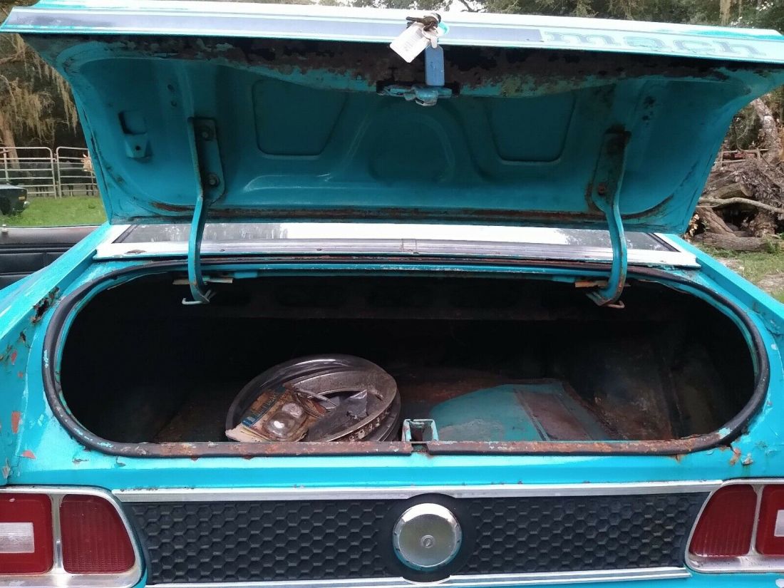 1973 Ford Mustang Mach 1 302 Mach 1 - photo 6