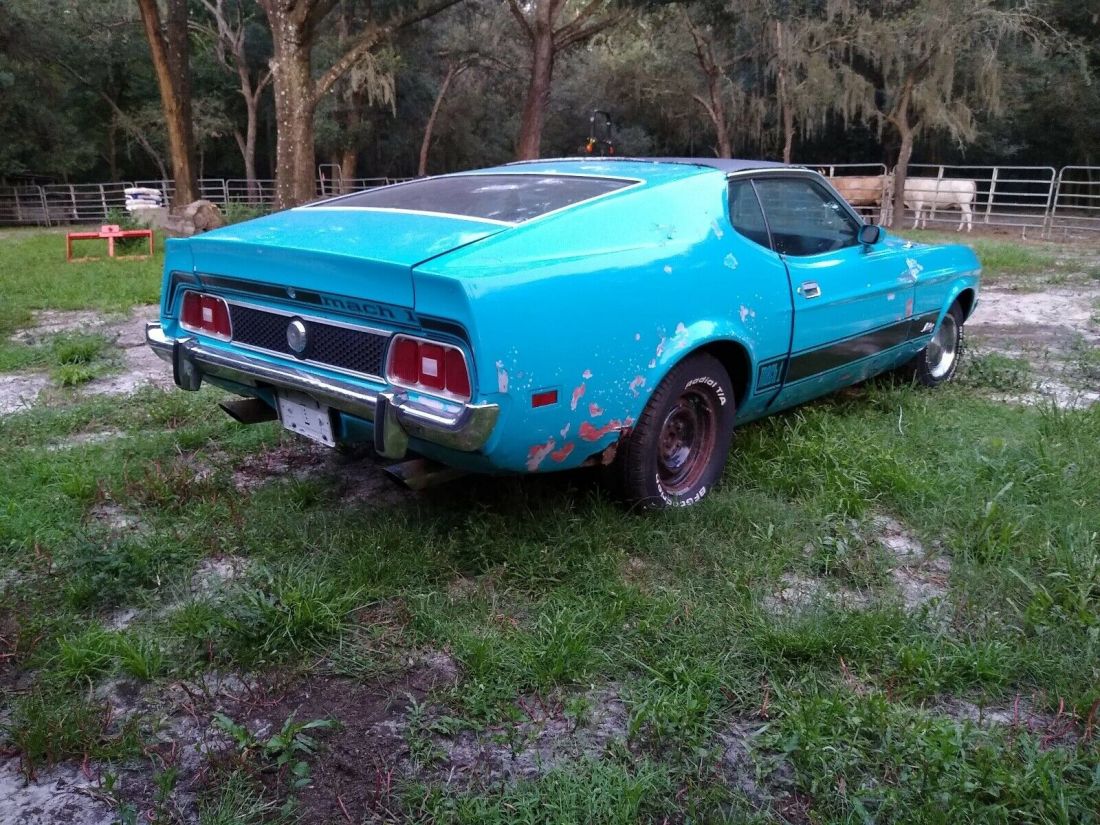 1973 Ford Mustang Mach 1 302 Mach 1 - photo 9