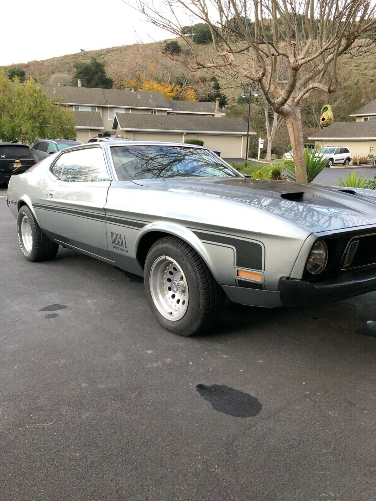 1973 Ford Mustang Mach 1 - photo 2