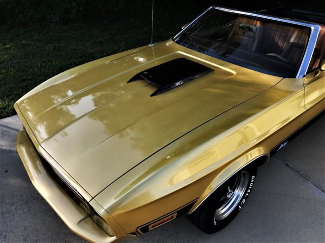 1973 Ford Mustang Mach1 Convertible - photo 6
