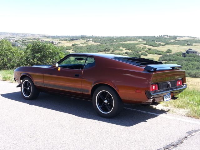 1973 Ford Mustang Sportsroof / Fastback Mach 1 - photo 11