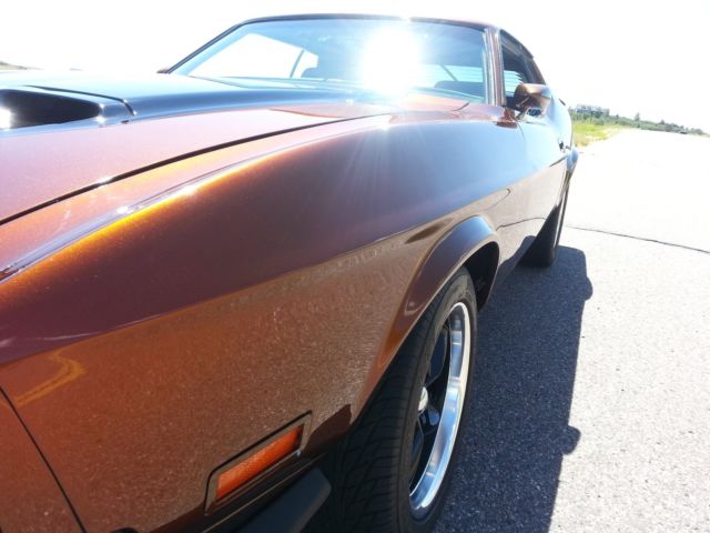 1973 Ford Mustang Sportsroof / Fastback Mach 1 - photo 9