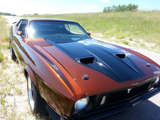 1973 Ford Mustang Sportsroof / Fastback Mach 1 - photo 3