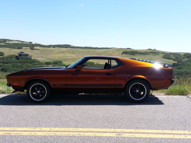 1973 Ford Mustang Sportsroof / Fastback Mach 1 - photo 9