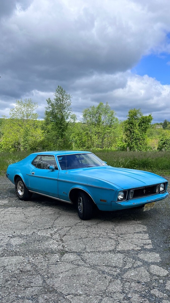 1973 Ford V8 grande - photo 12