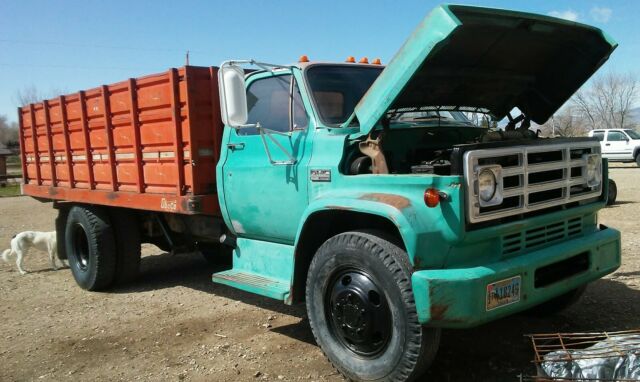1973 GMC 6000 - photo 2