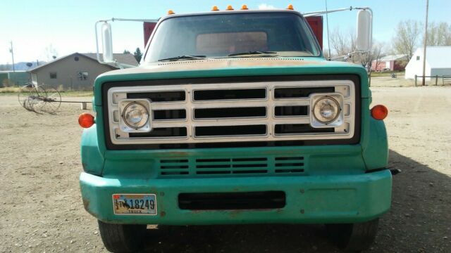 1973 GMC 6000 - photo 3