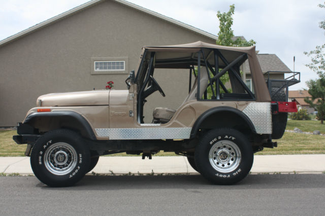 1973 Jeep Other - photo 2