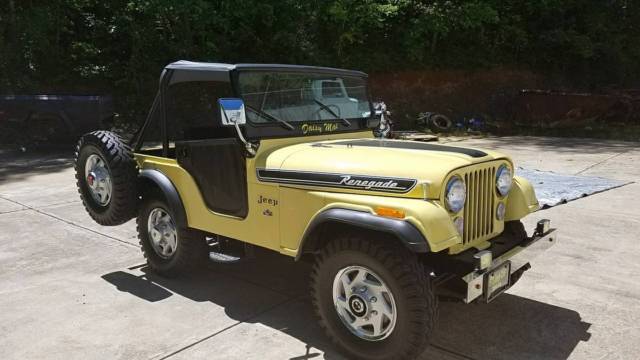 1973 Jeep CJ Renegade - photo 2