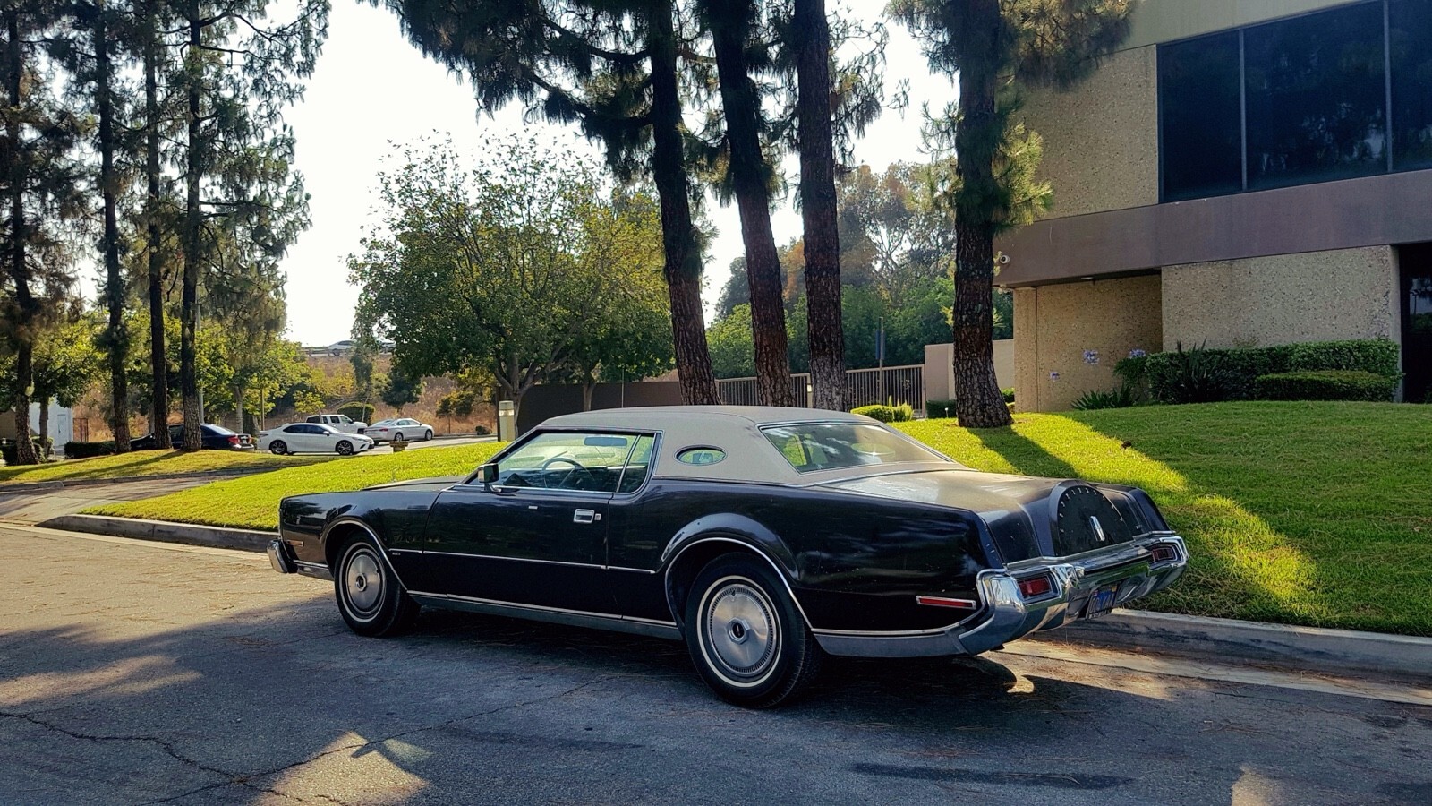 1973 Lincoln Continental - photo 7