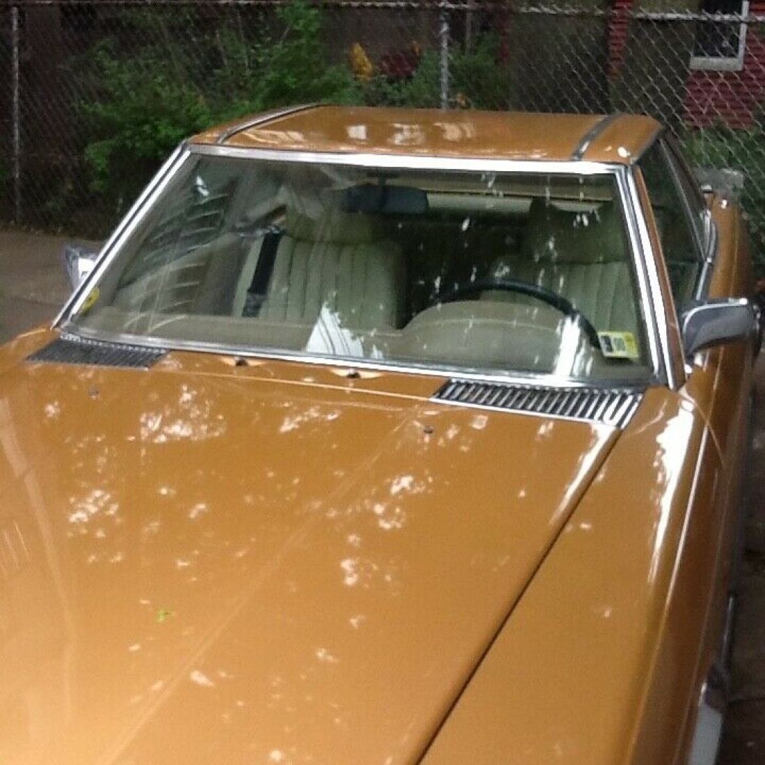 1973 Mercedes-Benz SL-Class - photo 4