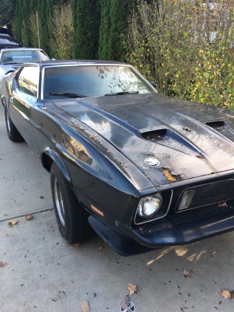 1973 Ford Mustang Mach 1 - photo 4