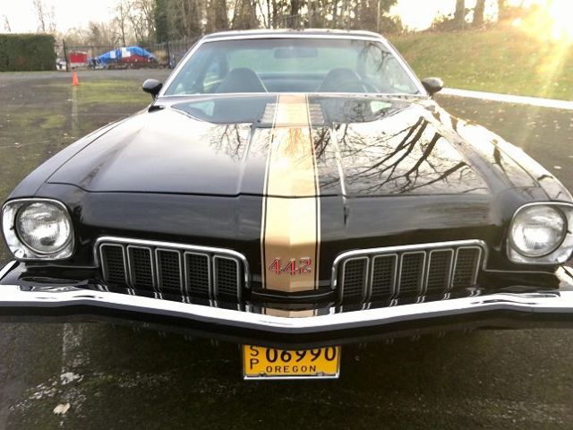 1973 Oldsmobile Cutlass 442 - photo 11