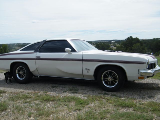 1973 Oldsmobile Cutlass 442 - photo 2