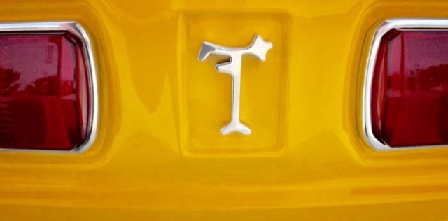 1973 De Tomaso Pantera Group 4. Targa top - photo 4