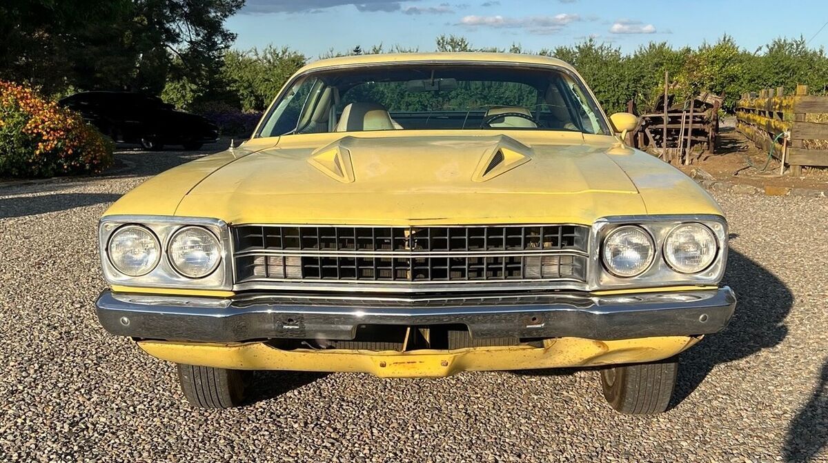 1973 Plymouth Road Runner - photo 2