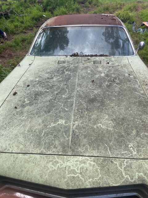 1973 Plymouth Satellite unknown - photo 9
