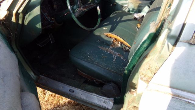 1973 Pontiac Catalina GRAND SAFARI STATION WAGON**NO RESERVE** - photo 5