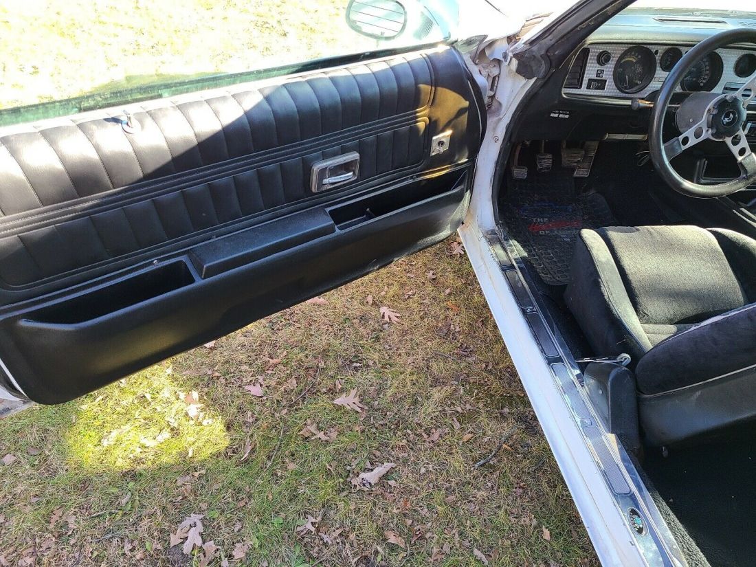 1973 Pontiac Firebird formula - photo 7