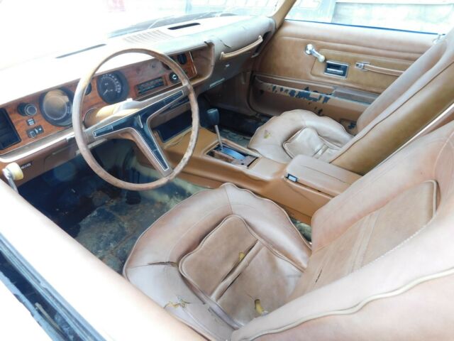 1973 Pontiac Firebird ESPRIT - photo 9
