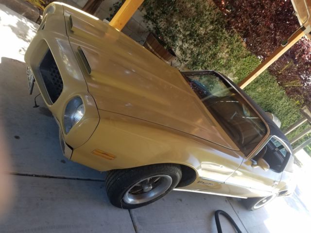 1973 Pontiac Firebird Formula 350 - photo 2