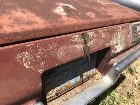 1973 Pontiac Firebird Formula 400 - photo 12