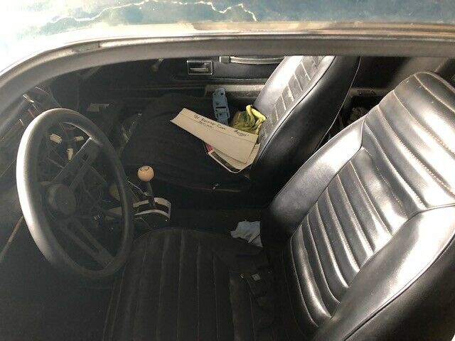 1973 Pontiac Firebird BASE - photo 13