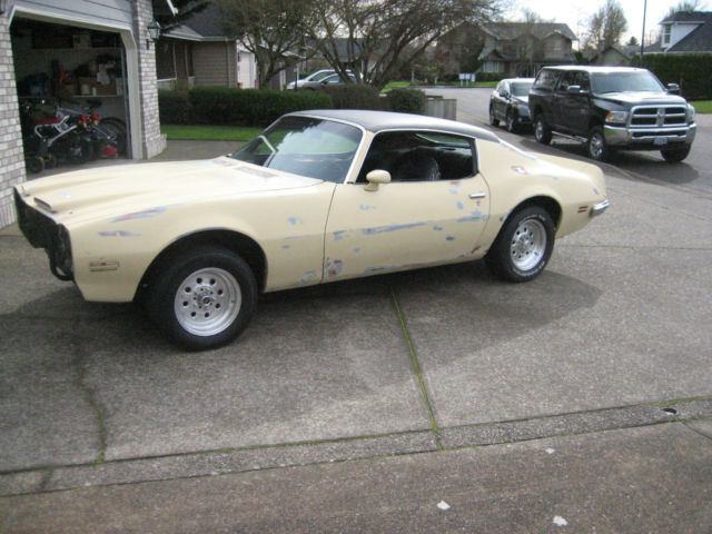 1973 pontiac formula 400 1973 Pontiac Firebird Formula/firebird