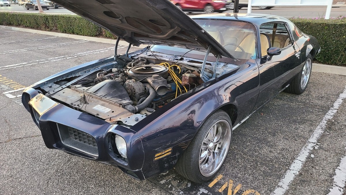 1973 Pontiac Firebird Formula - photo 9