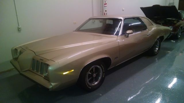 1973 Pontiac Other