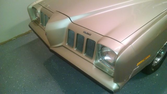 1973 Pontiac Other - photo 4