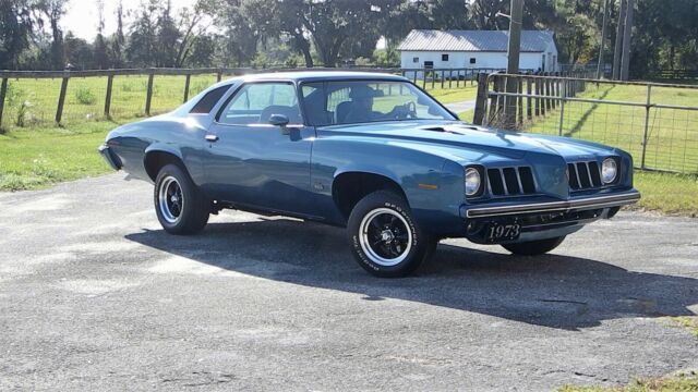1973 Pontiac Grand Am Coupe - photo 5