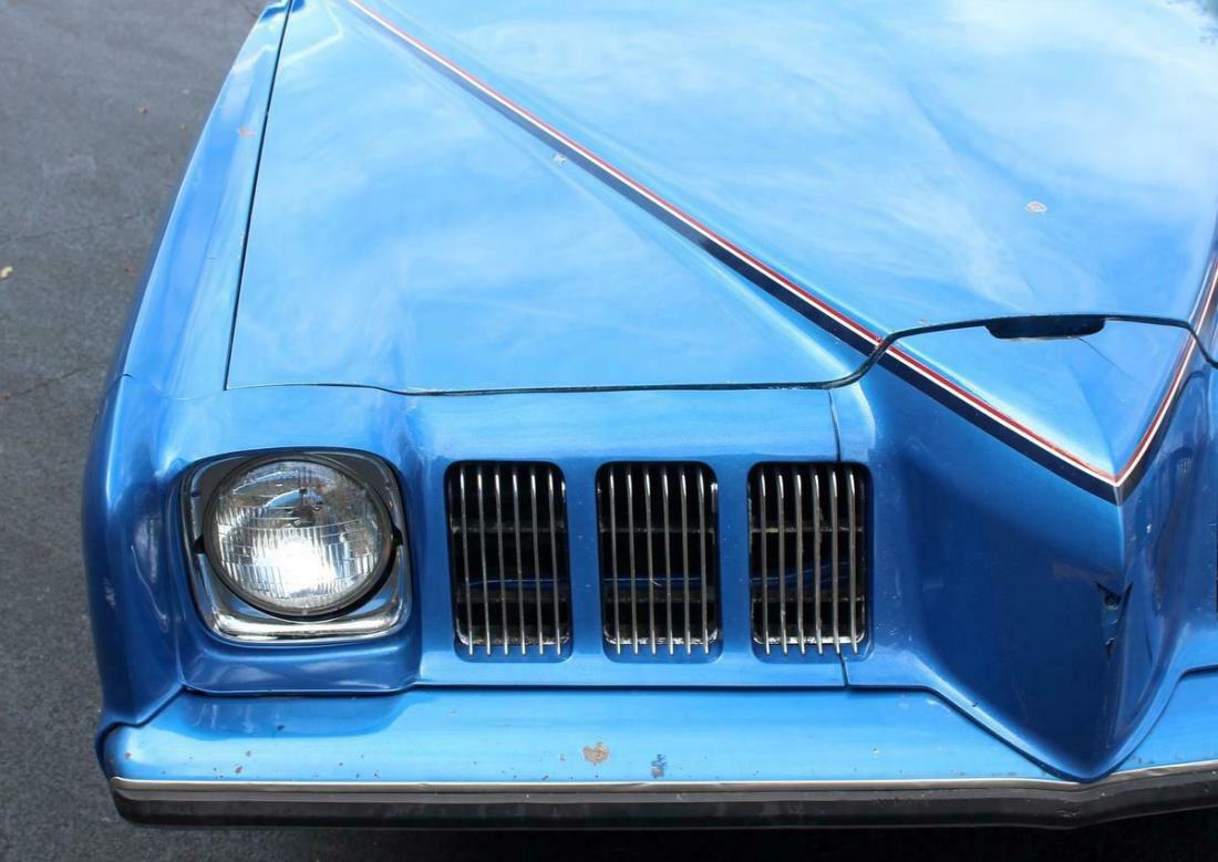 1973 Pontiac Grand Am - photo 13
