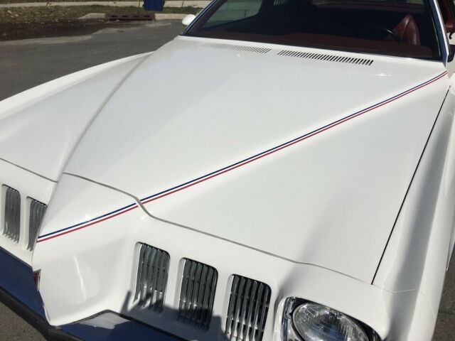 1973 Pontiac Grand Am - photo 2