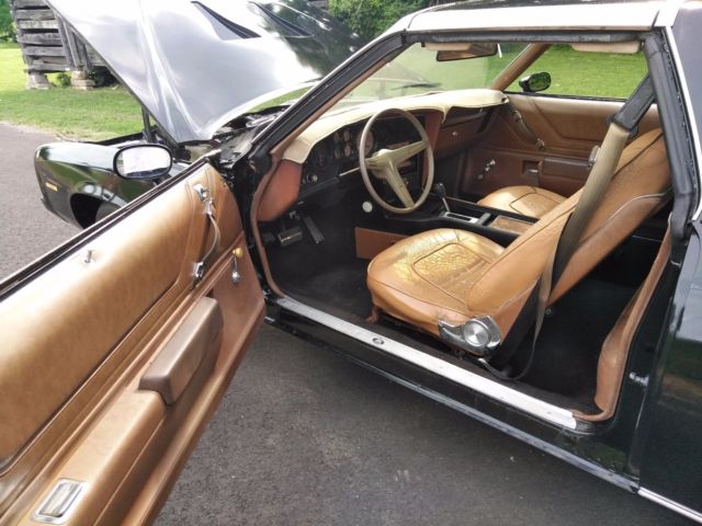 1973 Pontiac Grand Am - photo 10