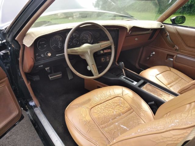 1973 Pontiac Grand Am - photo 11