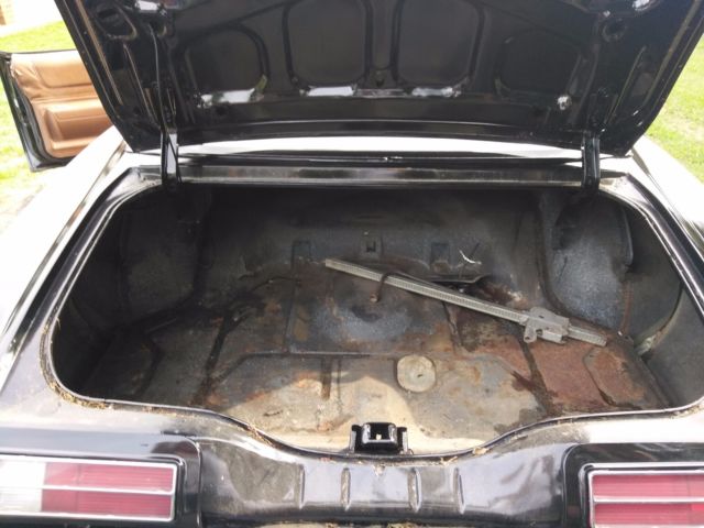 1973 Pontiac Grand Am - photo 13