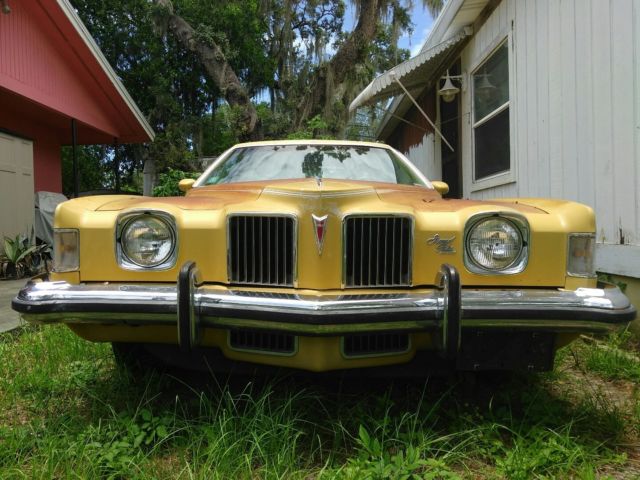 1973 Pontiac Grand Prix - photo 3