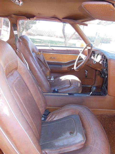 1973 Pontiac Grand Prix SJ - photo 10