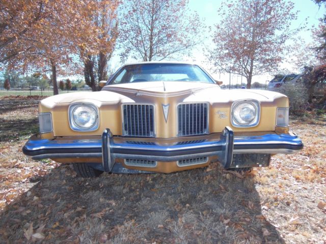 1973 Pontiac Grand Prix SJ - photo 3