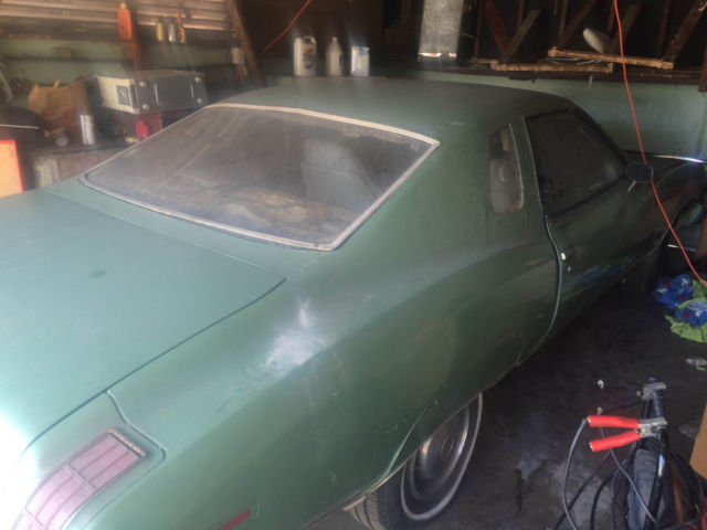 1973 Pontiac Le Mans - photo 3