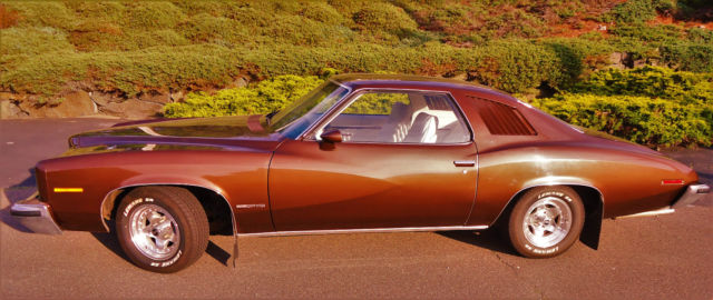 1973 Pontiac Le Mans - photo 10