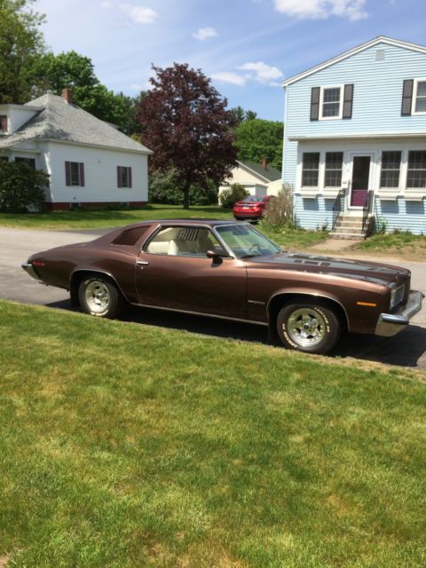 1973 Pontiac Le Mans - photo 3