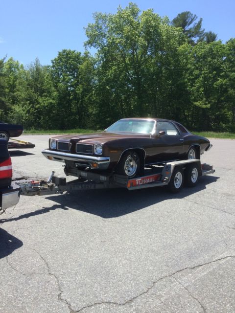 1973 Pontiac Le Mans - photo 5