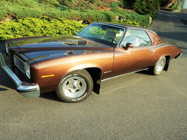 1973 Pontiac Le Mans - photo 6