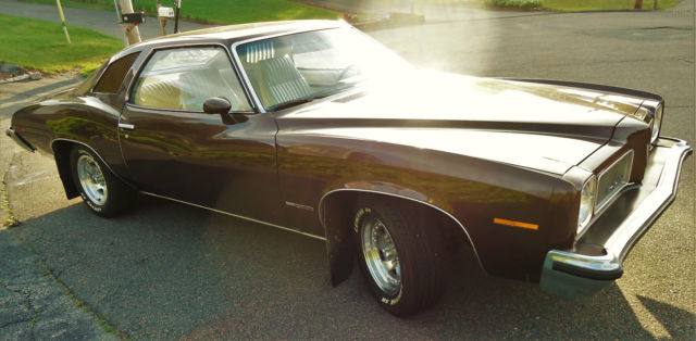 1973 Pontiac Le Mans - photo 7